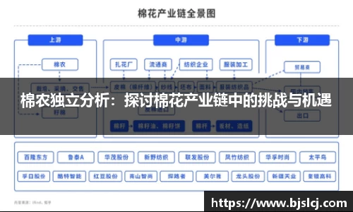 棉农独立分析：探讨棉花产业链中的挑战与机遇
