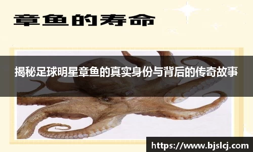 必一运动官方网站