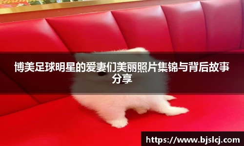 博美足球明星的爱妻们美丽照片集锦与背后故事分享